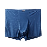 Bpyeka Mens Big & Tall Mesh Ice Silk Boxer Briefs, Nylon & Spandex Breathable Underwear, Quick-Dry Plus Size Sports Shorts, 2XL-13XL, Light Blue