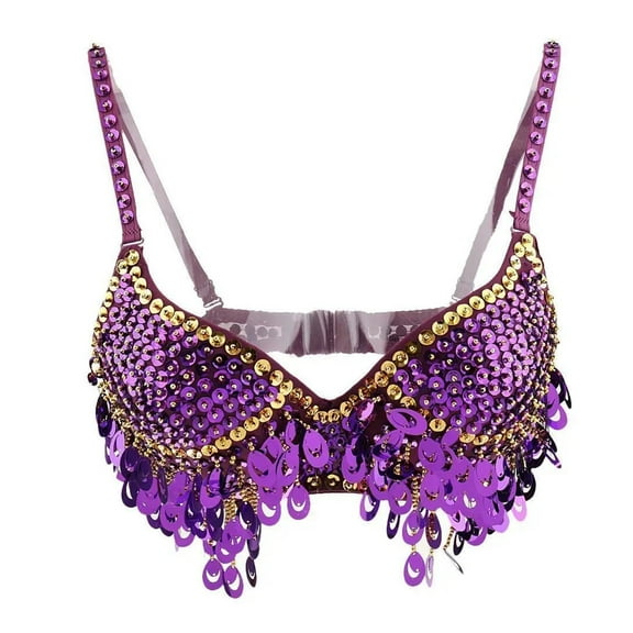 Bra Neck Sequin Tassel Bra Belly Multiple Sequin Halter Belly Dance Top