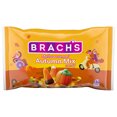 Brach's Assorted Flavors Autumn Mix Candy, Halloween Candy, 11 oz, Bag