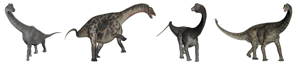 Brachiosaurus Dicraeosaurus Diplodocus and Spinophorosaurus Canvas Art - Elena DuvernayStocktrek Images (30 x 7)