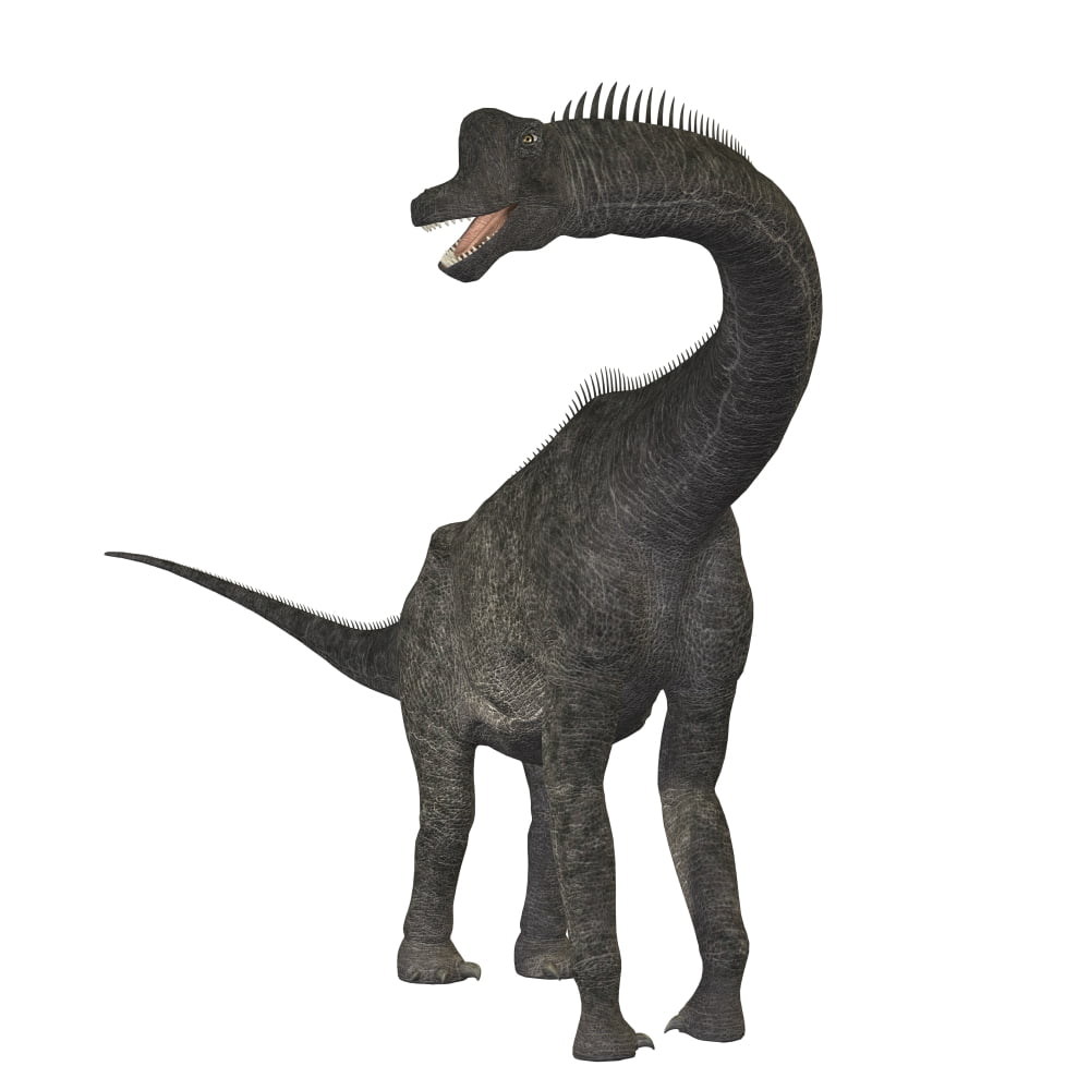 Brachiosaurus dinosaur Canvas Art - Corey FordStocktrek Images (28 x 28)