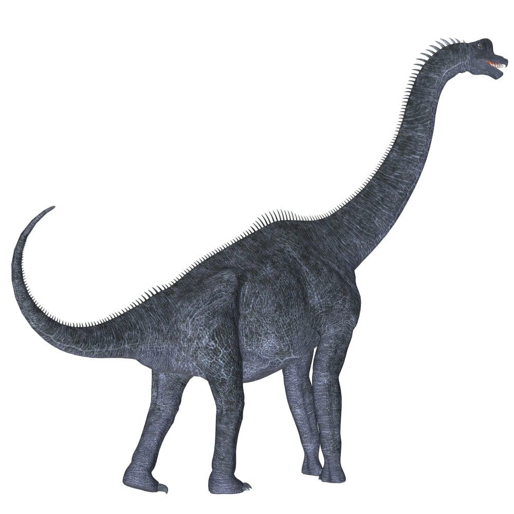 Brachiosaurus dinosaur Canvas Art - Corey FordStocktrek Images (29 x 29)