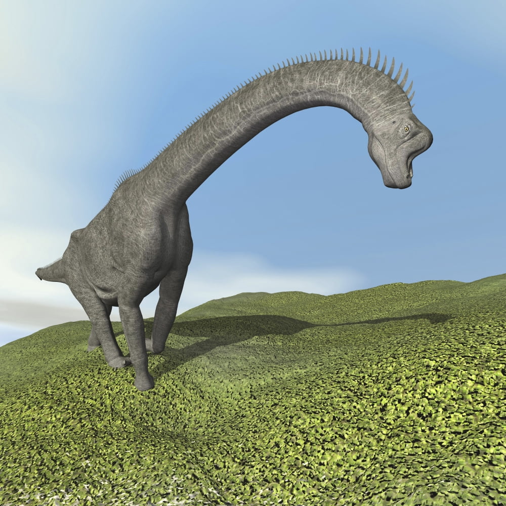 Brachiosaurus dinosaur Canvas Art - Elena DuvernayStocktrek Images (29 x 29)