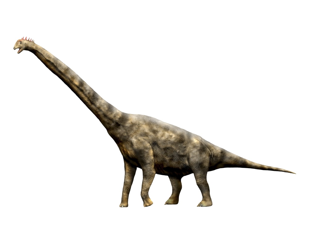 Brachiosaurus dinosaur Canvas Art - Nobumichi TamuraStocktrek Images (17 x 13)