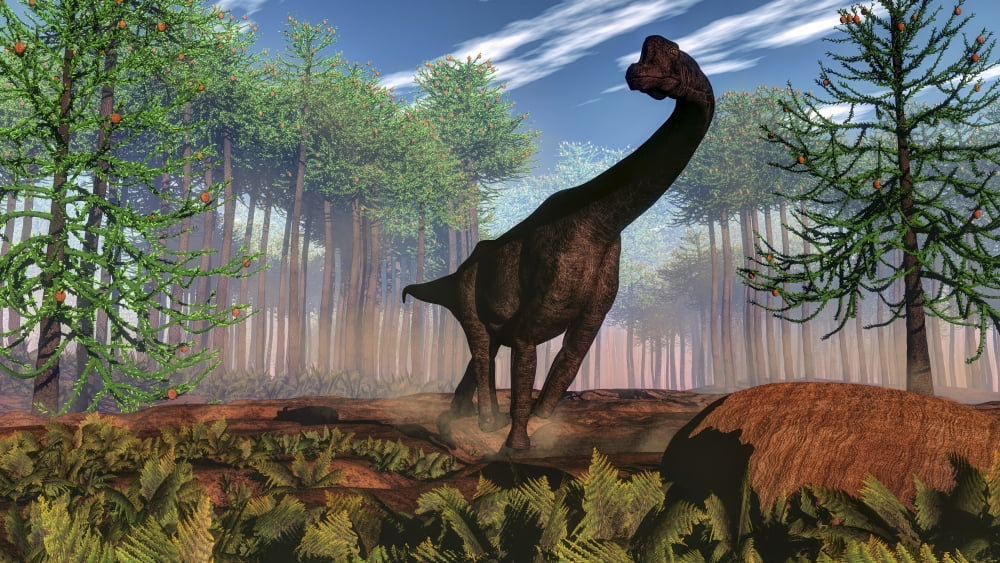 Brachiosaurus dinosaur amongst an Araucaria forest Canvas Art - Elena DuvernayStocktrek Images (19 x 11)