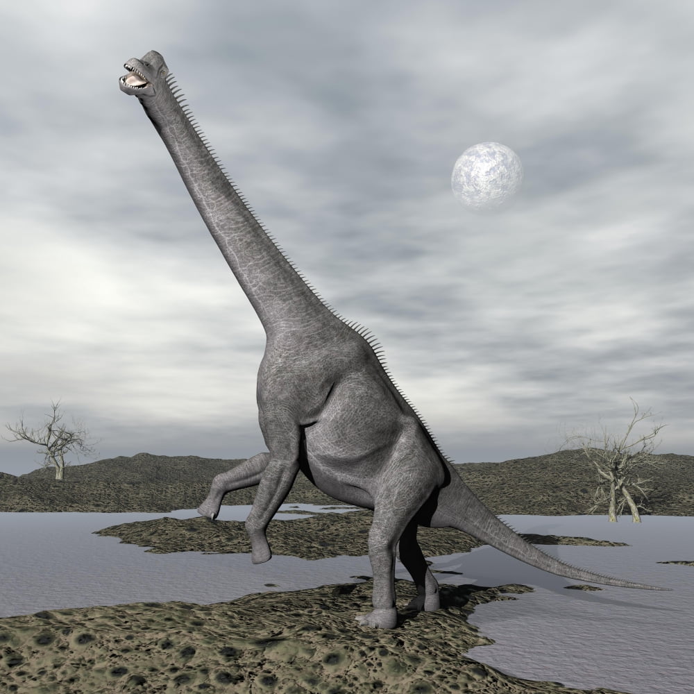 Brachiosaurus dinosaur backdropped by a full moon Canvas Art - Elena DuvernayStocktrek Images (28 x 28)