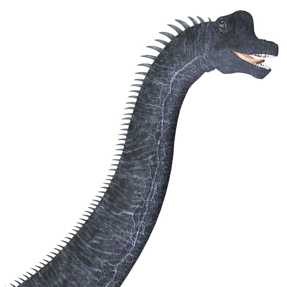 Brachiosaurus dinosaur head Canvas Art - Corey FordStocktrek Images (29 x 29)