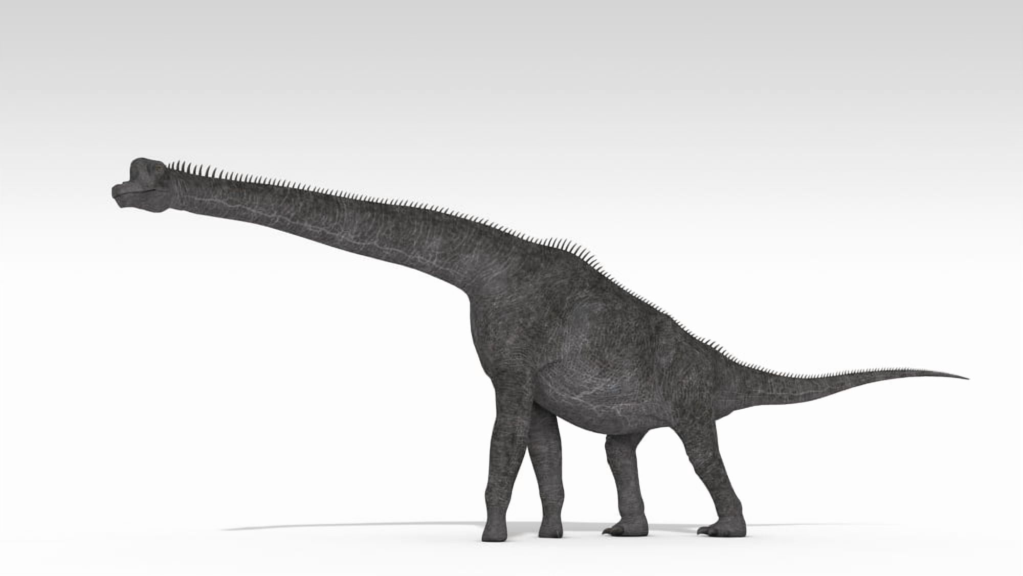 Brachiosaurus dinosaur white background Canvas Art - Kostyantyn IvanyshenStocktrek Images (38 x 22)