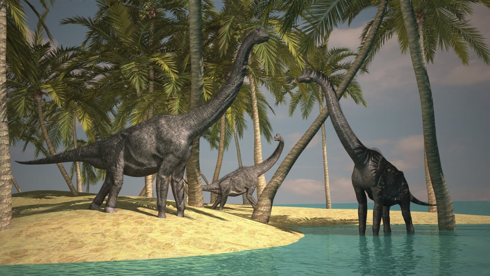 Brachiosaurus dinosaurs grazing at the waters edge Canvas Art - Kostyantyn IvanyshenStocktrek Images (38 x 22)