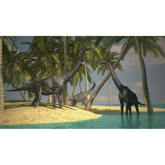 Brachiosaurus dinosaurs grazing at the waters edge Poster Print