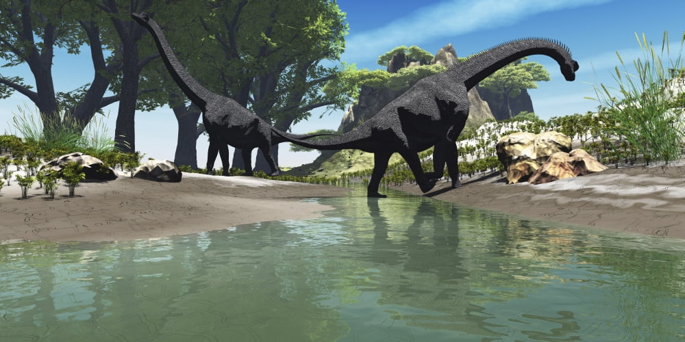 Brachiosaurus dinosaurs look for food along the banks of a stream Canvas Art - Corey FordStocktrek Images (40 x 20)