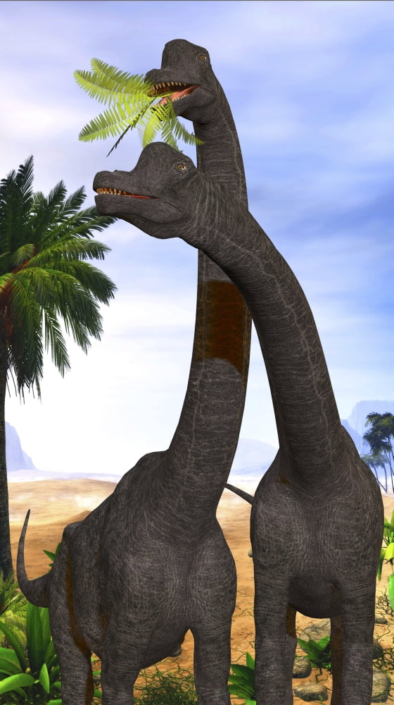 Brachiosaurus dinosaurs munch on tropical vegetation Canvas Art - Corey FordStocktrek Images (22 x 38)
