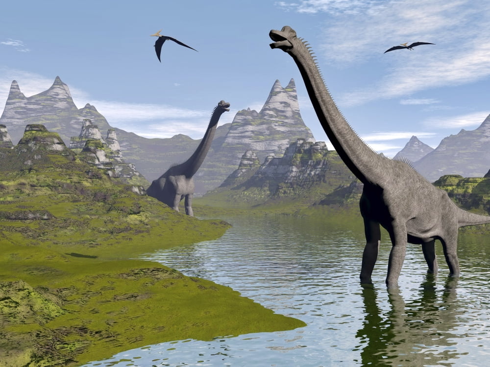 Brachiosaurus dinosaurs walking in a stream on a beautiful day Canvas Art - Elena DuvernayStocktrek Images (33 x 25)