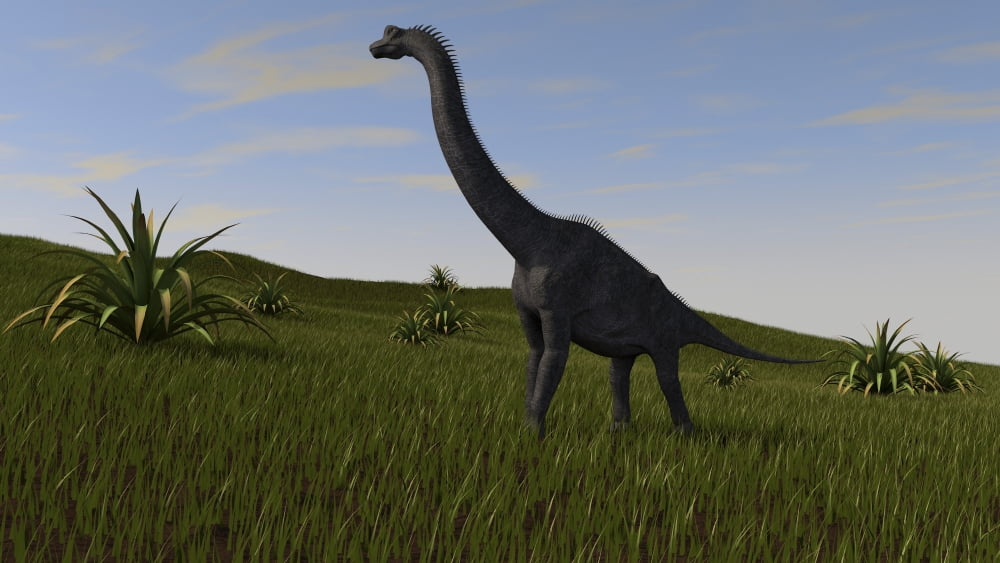 Brachiosaurus grazing in a grassy field Canvas Art - Kostyantyn IvanyshenStocktrek Images (19 x 11)
