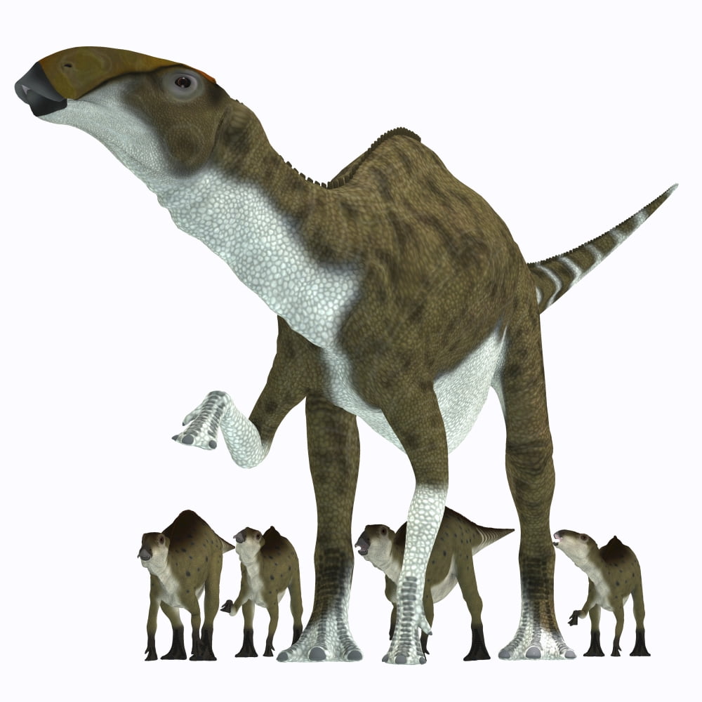 Brachylophosaurus with offspring Canvas Art - Corey FordStocktrek Images (29 x 29)