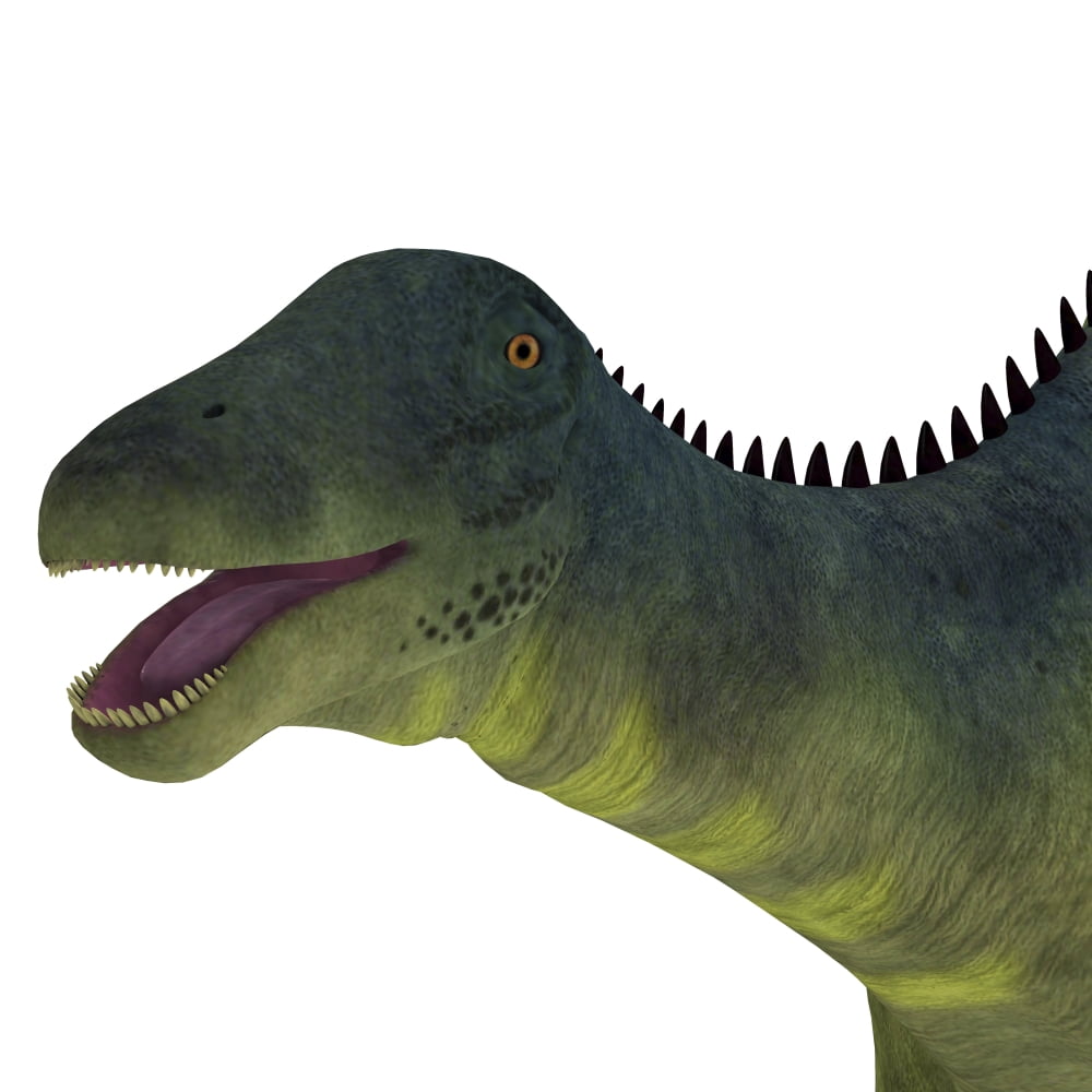 Brachytrachelopan dinosaur portrait Canvas Art - Corey FordStocktrek Images (28 x 28)