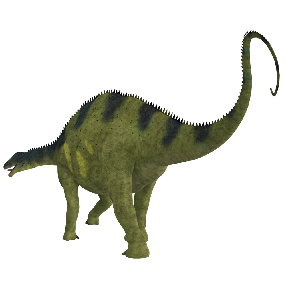 Brachytrachelopan dinosaur white background Canvas Art - Corey FordStocktrek Images (28 x 28)