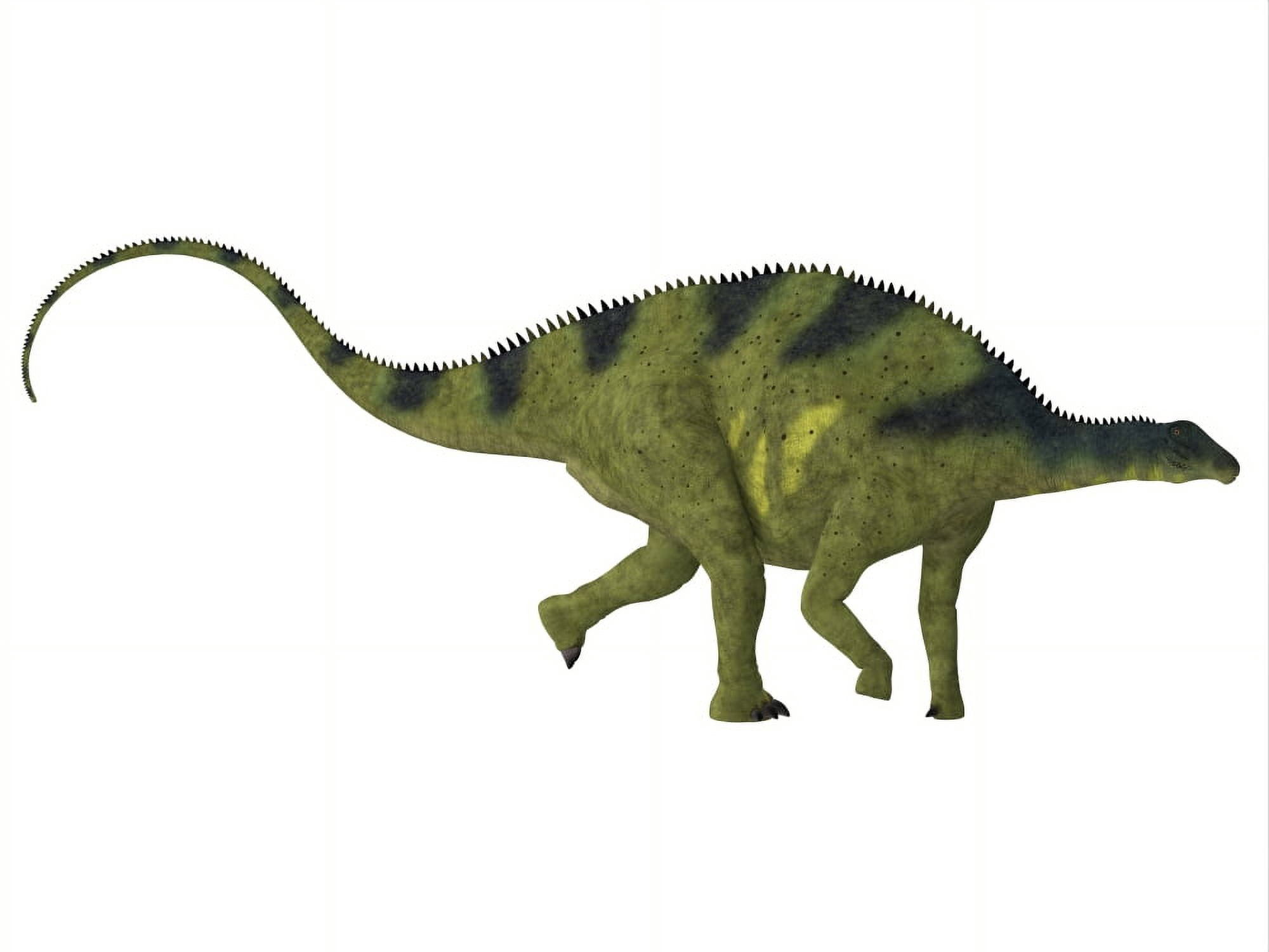 Brachytrachelopan dinosaur white background Canvas Art - Corey FordStocktrek Images (32 x 24)