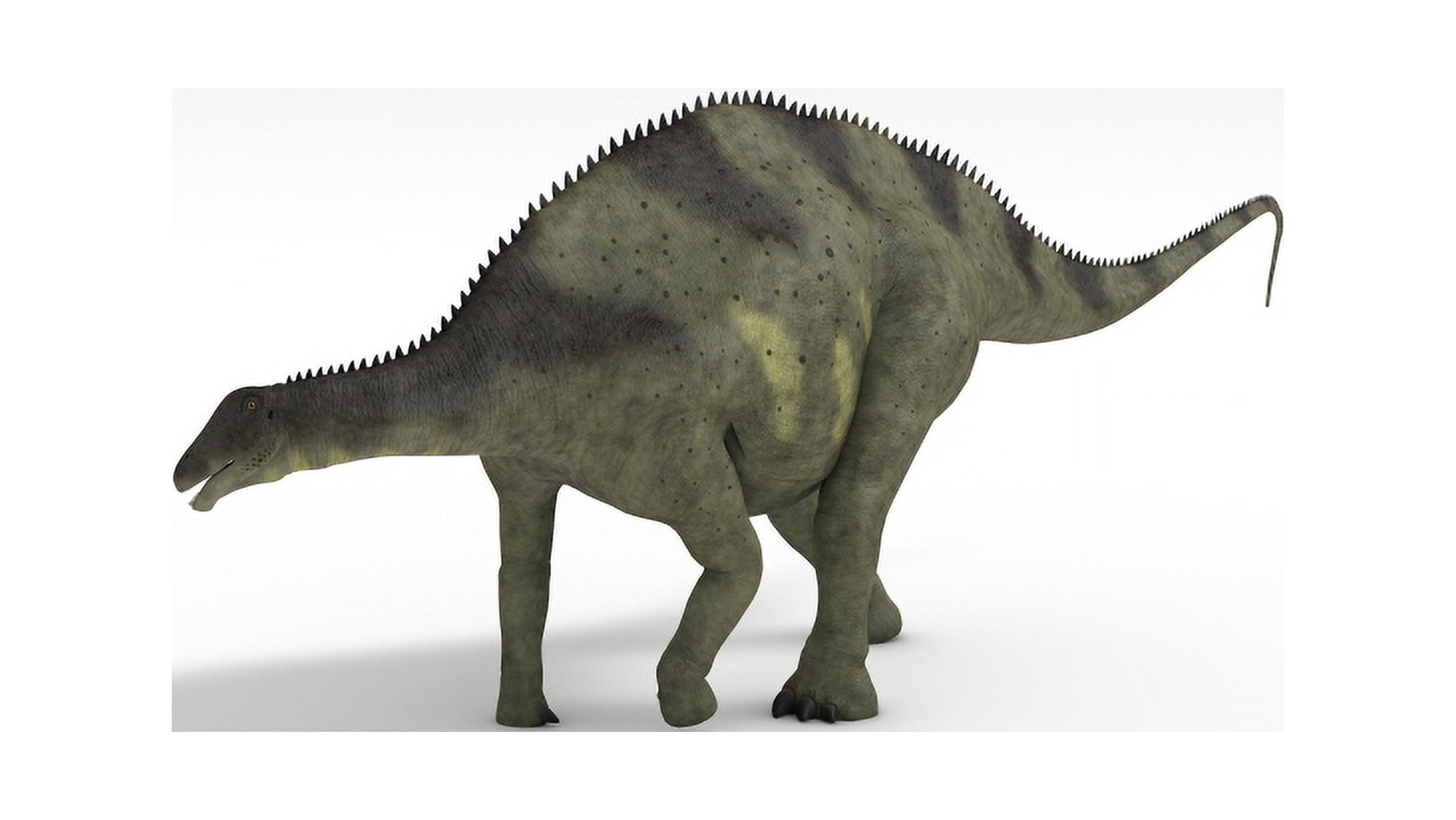 Brachytrachelopan dinosaur white background Canvas Art - Kostyantyn IvanyshenStocktrek Images (19 x 11)