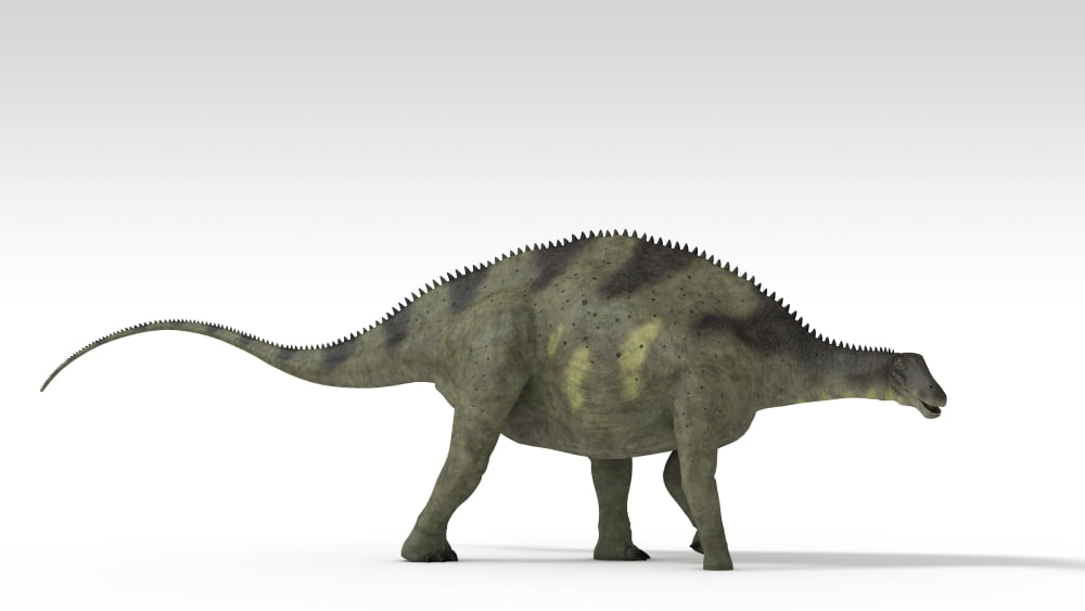 Brachytrachelopan dinosaur white background Canvas Art - Kostyantyn IvanyshenStocktrek Images (19 x 11)