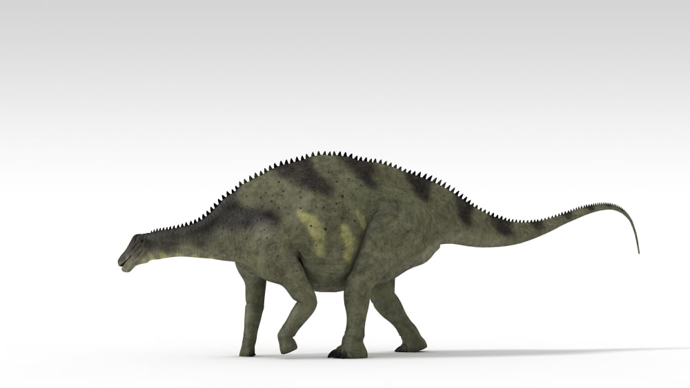 Brachytrachelopan dinosaur white background Canvas Art - Kostyantyn IvanyshenStocktrek Images (38 x 22)