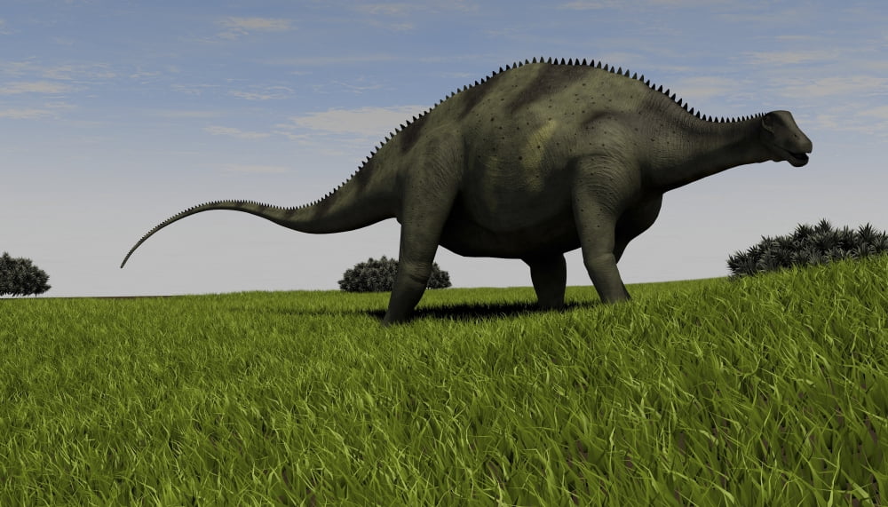 Brachytrachelopan walking across prehistoric grasslands Canvas Art - Kostyantyn IvanyshenStocktrek Images (38 x 22)