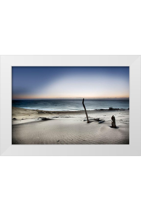 Brackstone, Mel 14x11 White Modern Wood Framed Museum Art Print Titled - Reach For The Sun