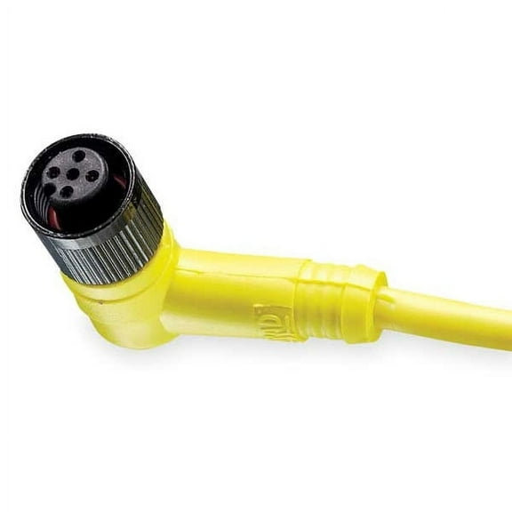 Brad Harrison Cordset,4 Pin,Receptacle,Female 804001A09M050