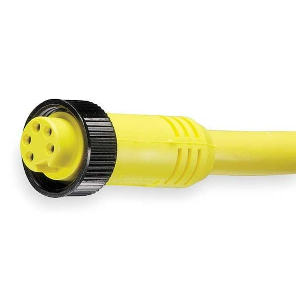 Brad Harrison Cordset,5 Pin,Receptacle,Female 105000A01F060