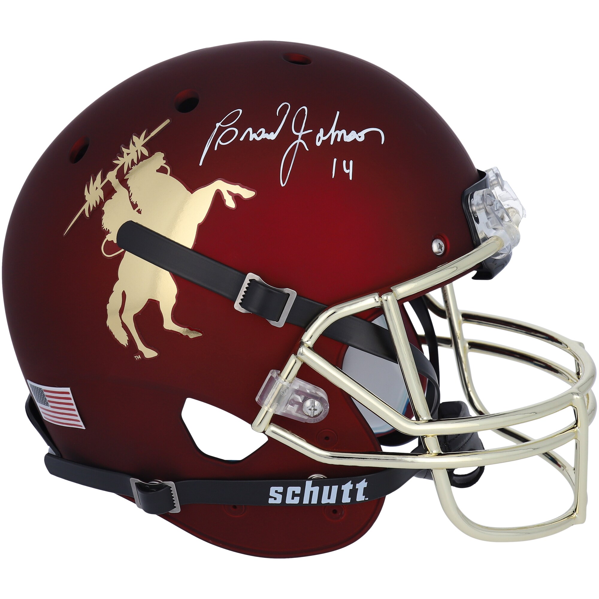 Brad Johnson Florida State Seminoles Autographed Schutt Sports