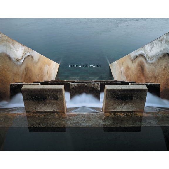 Brad Temkin: The State of Water, (Hardcover)