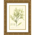 thumbnail image 1 of Bradbury, Henry 13x18 Gold Ornate Wood Framed with Double Matting Museum Art Print Titled - Bradbury Seaweed I, 1 of 4
