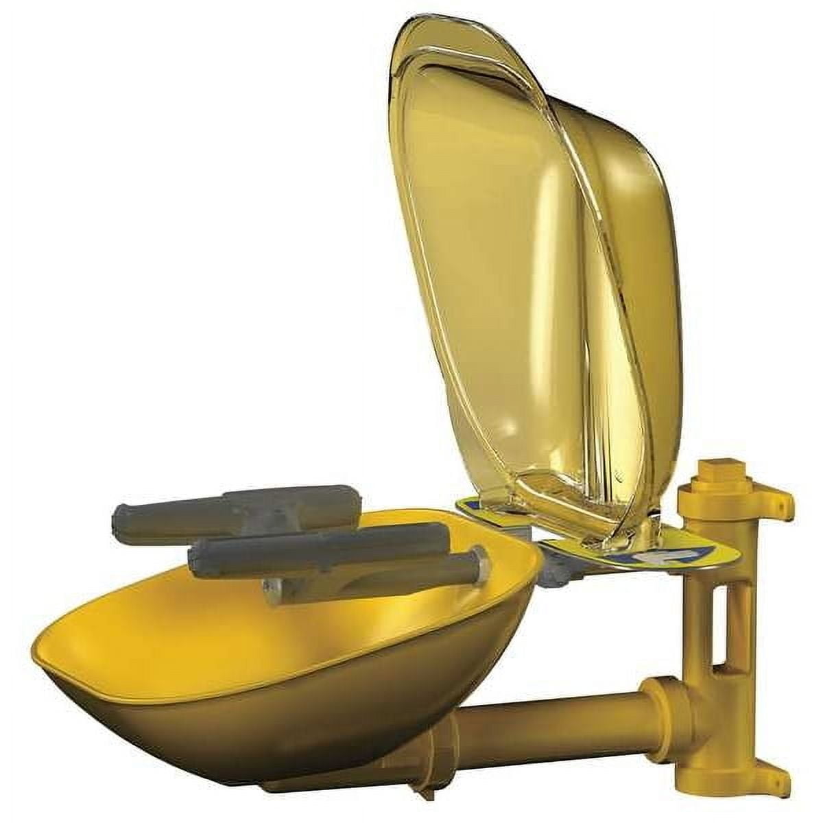 Bradley Eye/Face Wash Station w/Cover,Wall,SS S19224PDCFW