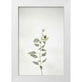thumbnail image 1 of Bradley, Felicity 11x14 White Modern Wood Framed Museum Art Print Titled - Simple Stems II, 1 of 4