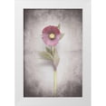 thumbnail image 1 of Bradley, Felicity 11x14 White Modern Wood Framed Museum Art Print Titled - Vintage Hellebore Study VI, 1 of 4
