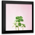 thumbnail image 1 of Bradley, Felicity 12x12 Black Modern Framed Museum Art Print Titled - Succulent Simplicity IX on Pink, 1 of 5