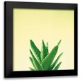 thumbnail image 1 of Bradley, Felicity 12x12 Black Modern Framed Museum Art Print Titled - Succulent Simplicity V, 1 of 5