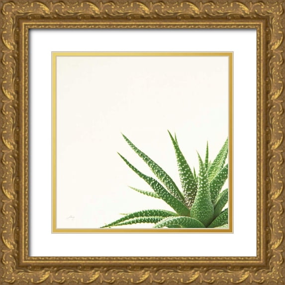 Bradley, Felicity 12x12 Gold Ornate Wood Framed with Double Matting Museum Art Print Titled - Succulent Simplicity II Neutral