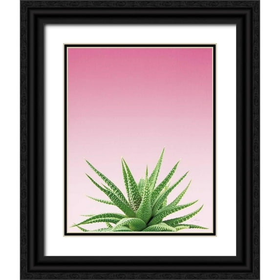 Bradley, Felicity 15x18 Black Ornate Wood Framed with Double Matting Museum Art Print Titled - Succulent Simplicity I Pink Ombre Crop