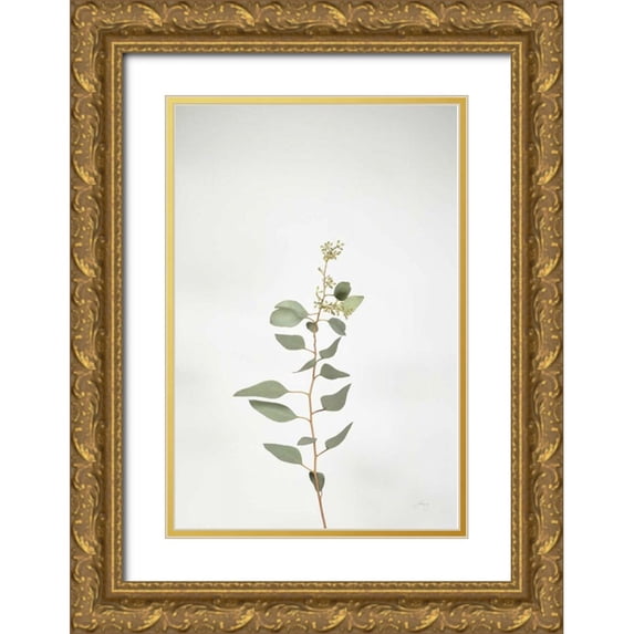 Bradley, Felicity 17x24 Gold Ornate Wood Framed with Double Matting Museum Art Print Titled - Simple Stems II