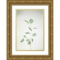 thumbnail image 1 of Bradley, Felicity 17x24 Gold Ornate Wood Framed with Double Matting Museum Art Print Titled - Simple Stems I, 1 of 4