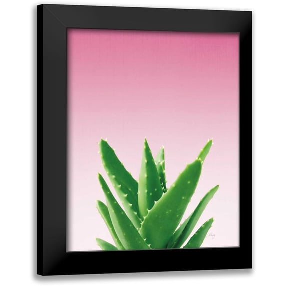 Bradley, Felicity 20x24 Black Modern Framed Museum Art Print Titled - Succulent Simplicity V Pink Ombre Crop