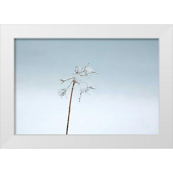 Bradley, Felicity 24x17 White Modern Wood Framed Museum Art Print Titled - Diamonds in Winter II