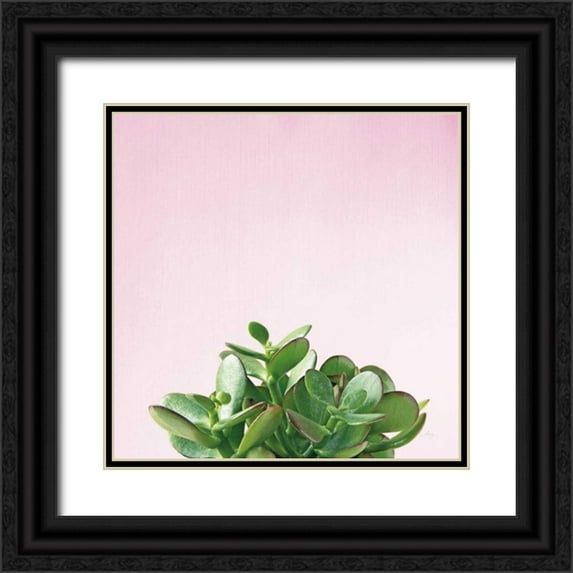 Bradley, Felicity 26x26 Black Ornate Wood Framed with Double Matting Museum Art Print Titled - Succulent Simplicity III on Pink