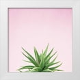 thumbnail image 1 of Bradley, Felicity 26x26 White Modern Wood Framed Museum Art Print Titled - Succulent Simplicity I on Pink, 1 of 4