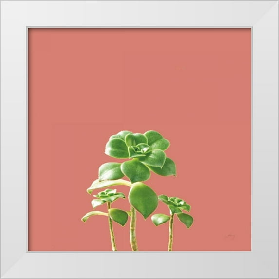 Bradley, Felicity 26x26 White Modern Wood Framed Museum Art Print Titled - Succulent Simplicity IX Coral