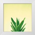 thumbnail image 1 of Bradley, Felicity 26x26 White Modern Wood Framed Museum Art Print Titled - Succulent Simplicity V, 1 of 4