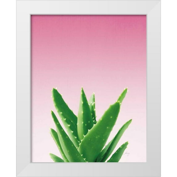 Bradley, Felicity 26x32 White Modern Wood Framed Museum Art Print Titled - Succulent Simplicity V Pink Ombre Crop