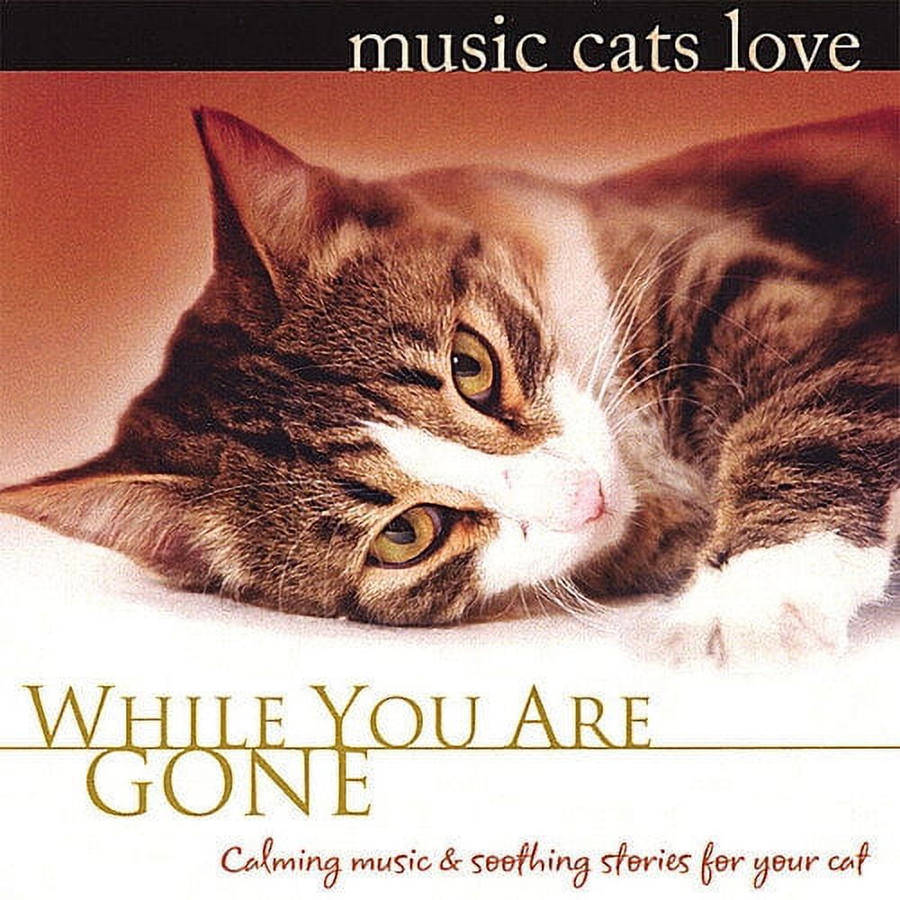 ROBBINS ISLAND MUSIC Bradley Joseph - Music Cats Love: While You Are Gone [CD]