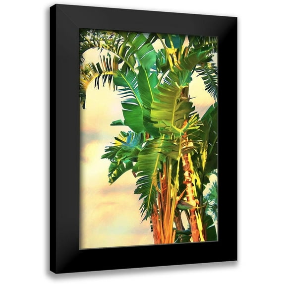 Bradshaw, Melinda 13x18 Black Modern Framed Museum Art Print Titled - Bird of Paradise Palm II